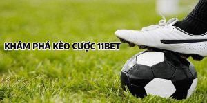 Khám Phá Kèo Cược Xanh Chín Chất Lượng Đến Từ 11BET